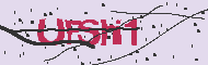 Captcha認証コード